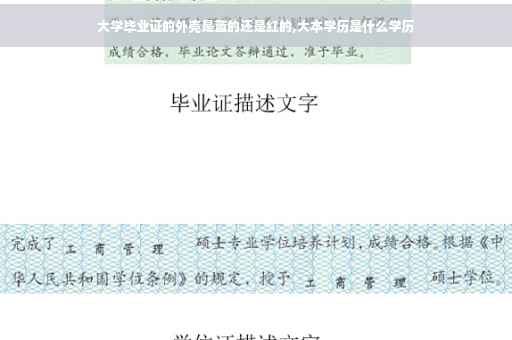 大学毕业证的外壳是蓝的还是红的,大本学历是什么学历