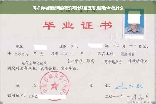 同样的电脑越南的有没有比较便宜啊,越南pin是什么