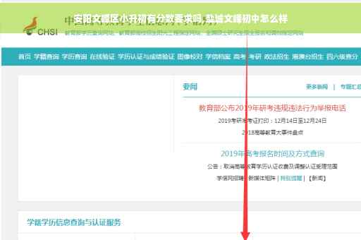 安阳文峰区小升初有分数要求吗,盐城文峰初中怎么样