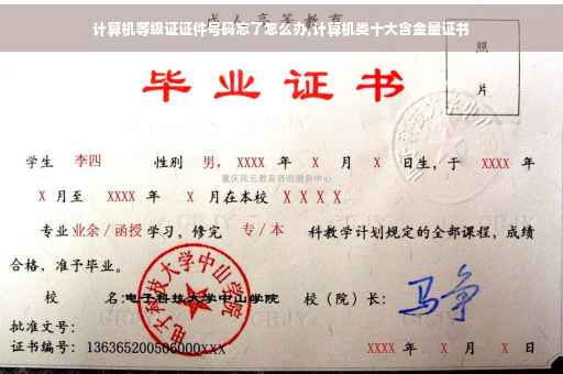计算机等级证证件号码忘了怎么办,计算机类十大含金量证书