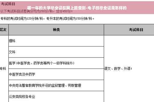 哪一年的大学毕业证在网上能查到-电子档毕业证是怎样的