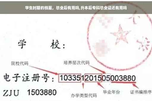 学生时期的档案，毕业后有用吗,升本后专科毕业证还有用吗