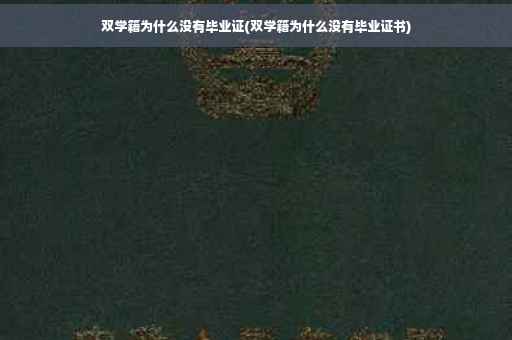 双学籍为什么没有毕业证(双学籍为什么没有毕业证书)