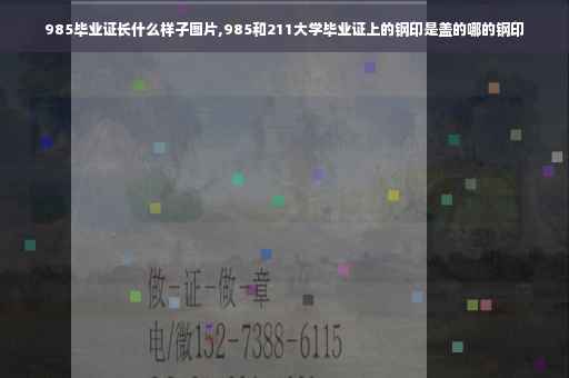 985毕业证长什么样子图片,985和211大学毕业证上的钢印是盖的哪的钢印