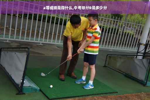a等成绩是指什么,中考总分B是多少分