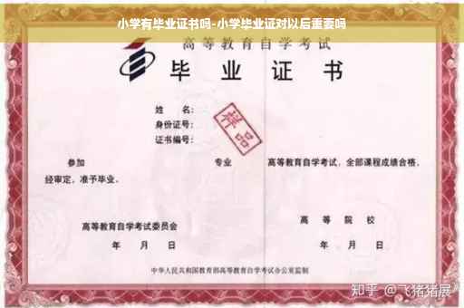 小学有毕业证书吗-小学毕业证对以后重要吗