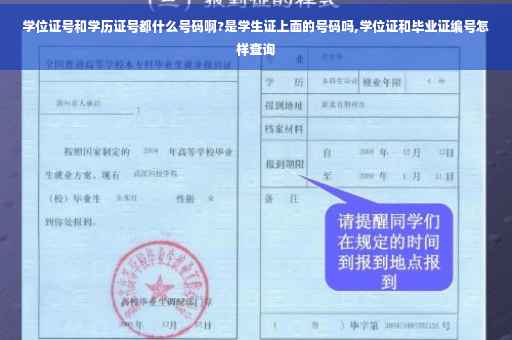 学位证号和学历证号都什么号码啊?是学生证上面的号码吗,学位证和毕业证编号怎样查询