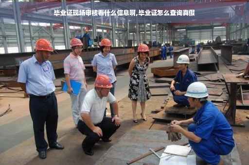 毕业证现场审核看什么信息啊,毕业证怎么查询真假
