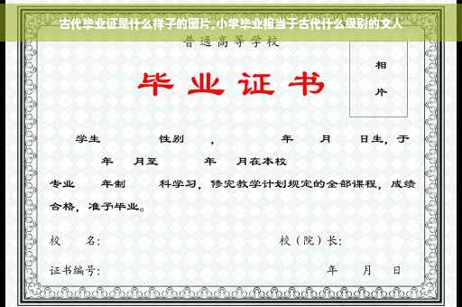 古代毕业证是什么样子的图片,小学毕业相当于古代什么级别的文人