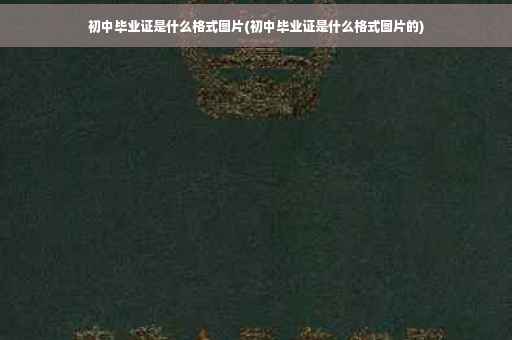 初中毕业证是什么格式图片(初中毕业证是什么格式图片的)