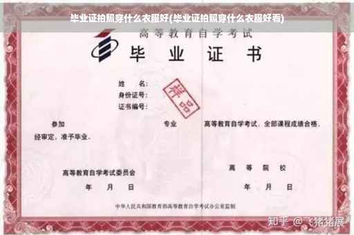 毕业证拍照穿什么衣服好(毕业证拍照穿什么衣服好看)