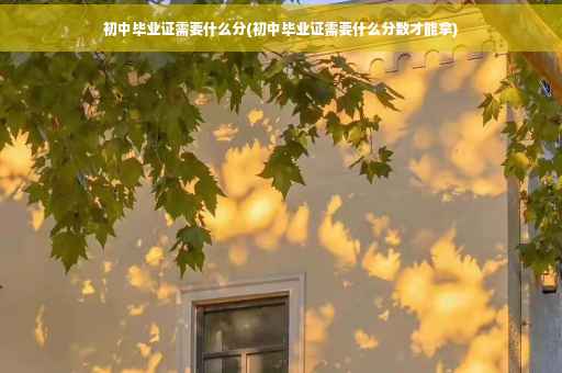 初中毕业证需要什么分(初中毕业证需要什么分数才能拿)