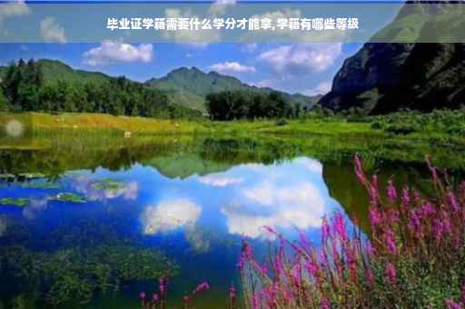 毕业证学籍需要什么学分才能拿,学籍有哪些等级