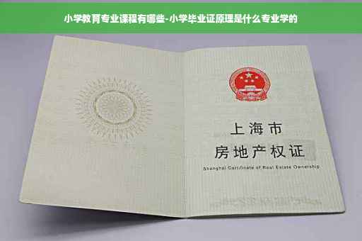 小学教育专业课程有哪些-小学毕业证原理是什么专业学的