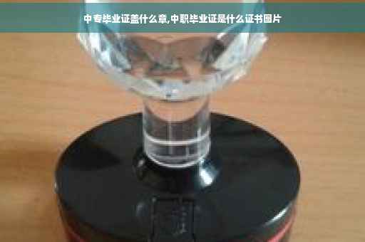 中专毕业证盖什么章,中职毕业证是什么证书图片