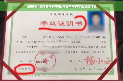 山东有什么好的专科学院,高密中专的毕业证是什么