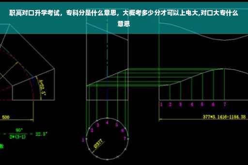 职高对口升学考试，专科分是什么意思，大概考多少分才可以上电大,对口大专什么意思