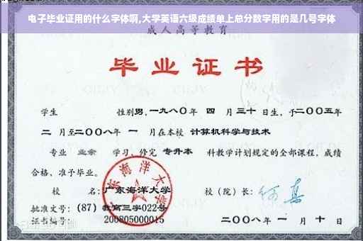 电子毕业证用的什么字体啊,大学英语六级成绩单上总分数字用的是几号字体