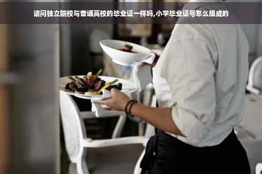 请问独立院校与普通高校的毕业证一样吗,小学毕业证号怎么组成的