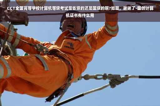 CCT全国高等学校计算机等级考试是省级的还是国级的啊?如题，谢谢了-国创计算机证书有什么用
