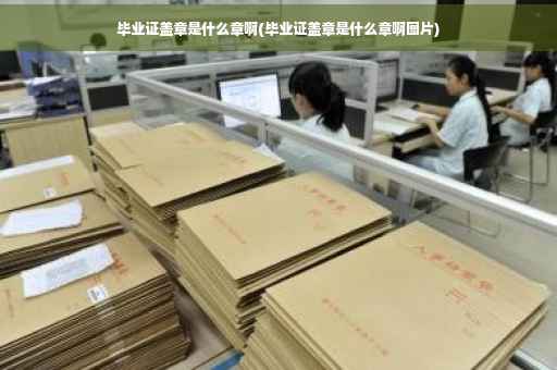 毕业证盖章是什么章啊(毕业证盖章是什么章啊图片)