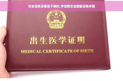 毕业信息采集是干啥的,学信网毕业图像采集步骤