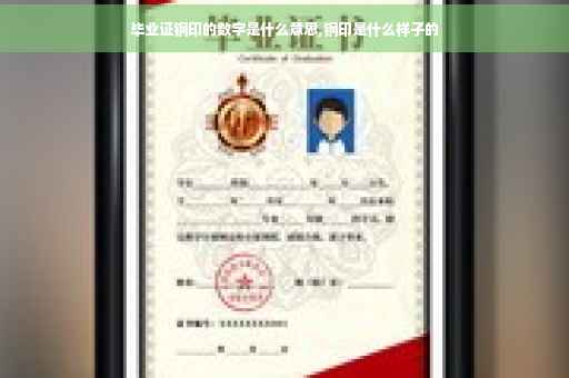 毕业证钢印的数字是什么意思,钢印是什么样子的