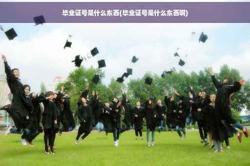 毕业证号是什么东西(毕业证号是什么东西啊)