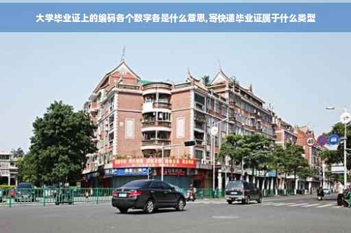 大学毕业证上的编码各个数字各是什么意思,寄快递毕业证属于什么类型