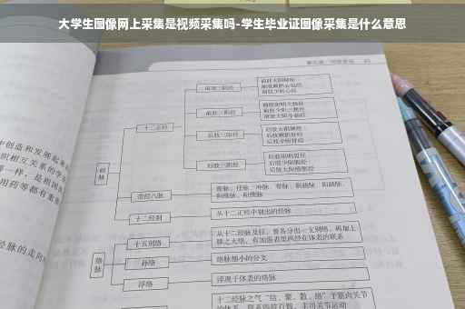 大学生图像网上采集是视频采集吗-学生毕业证图像采集是什么意思