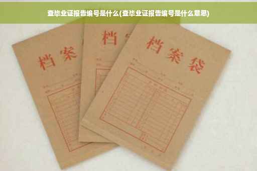 查毕业证报告编号是什么(查毕业证报告编号是什么意思)