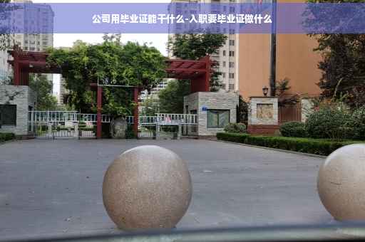 公司用毕业证能干什么-入职要毕业证做什么