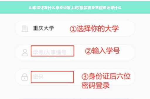 山东综评发什么毕业证啊,山东服装职业学院综评考什么