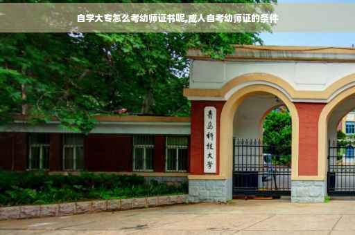 自学大专怎么考幼师证书呢,成人自考幼师证的条件