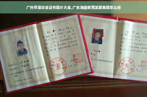 广外双语毕业证书图片大全,广东海德教育发展集团怎么样