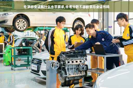 中学毕业证有什么水平要求,中考分数不够能拿毕业证书吗