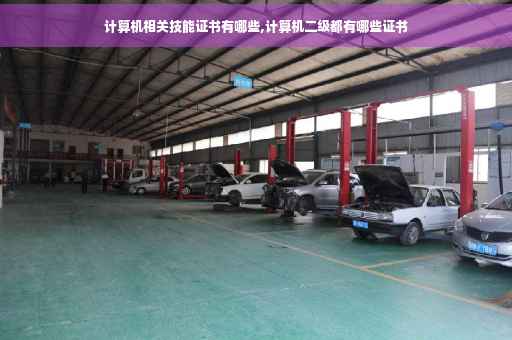 计算机相关技能证书有哪些,计算机二级都有哪些证书