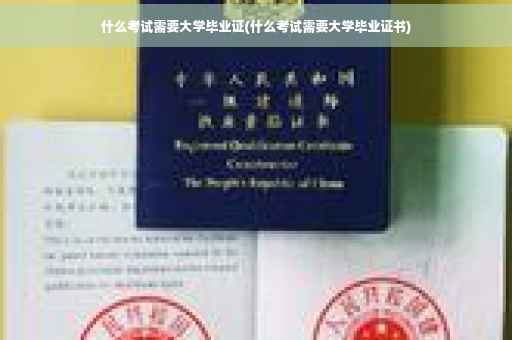 什么考试需要大学毕业证(什么考试需要大学毕业证书)