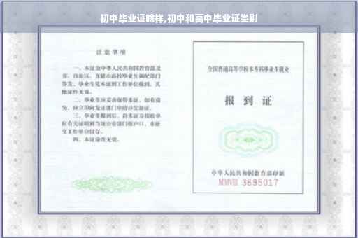 初中毕业证啥样,初中和高中毕业证类别