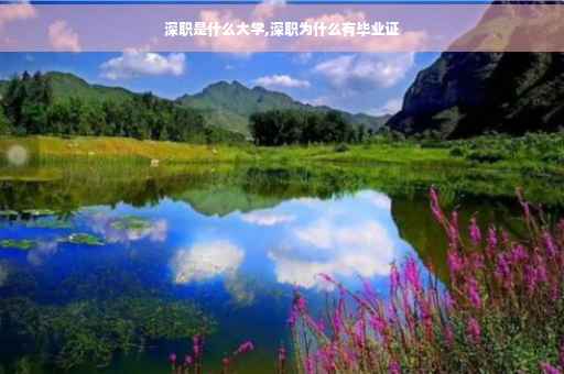 深职是什么大学,深职为什么有毕业证