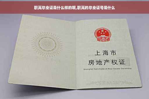 职高毕业证是什么样的啊,职高的毕业证号是什么