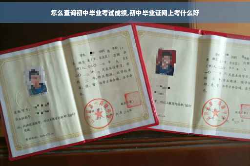 怎么查询初中毕业考试成绩,初中毕业证网上考什么好