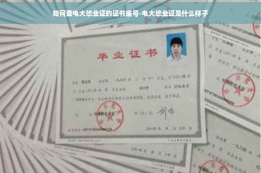 如何查电大毕业证的证书编号-电大毕业证是什么样子