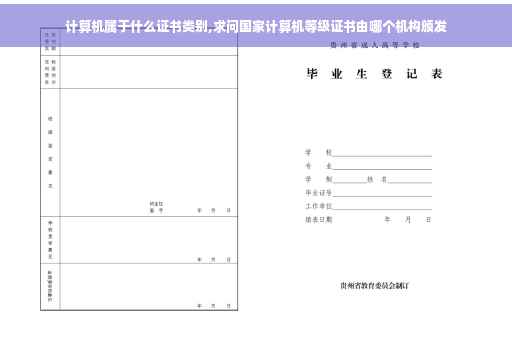 计算机属于什么证书类别,求问国家计算机等级证书由哪个机构颁发