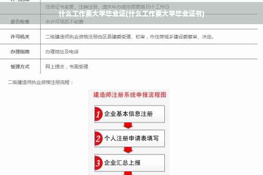 什么工作要大学毕业证(什么工作要大学毕业证书)
