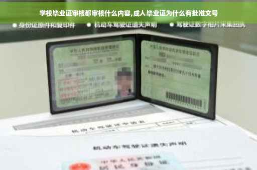 学校毕业证审核都审核什么内容,成人毕业证为什么有批准文号