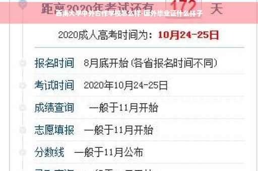 西南大学中外合作学校怎么样-国外毕业证什么样子