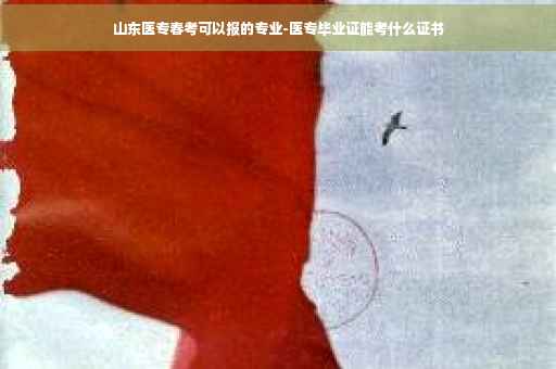 山东医专春考可以报的专业-医专毕业证能考什么证书