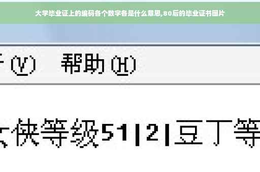 大学毕业证上的编码各个数字各是什么意思,80后的毕业证书图片