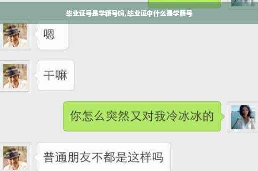 毕业证号是学籍号吗,毕业证中什么是学籍号